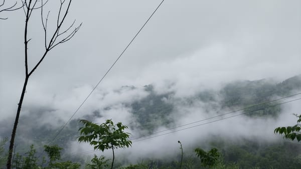 行途乡野
