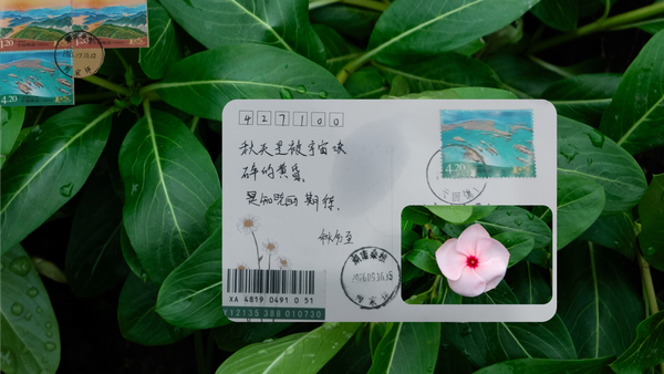 报春花与鹅耳枥