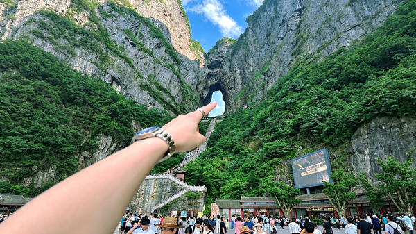 来年，还唱