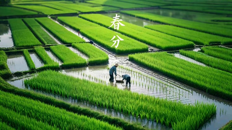家有春分