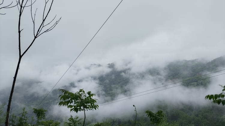 行途乡野